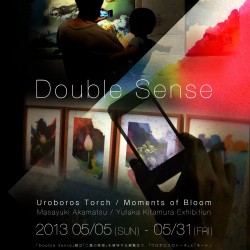 DoubleSense